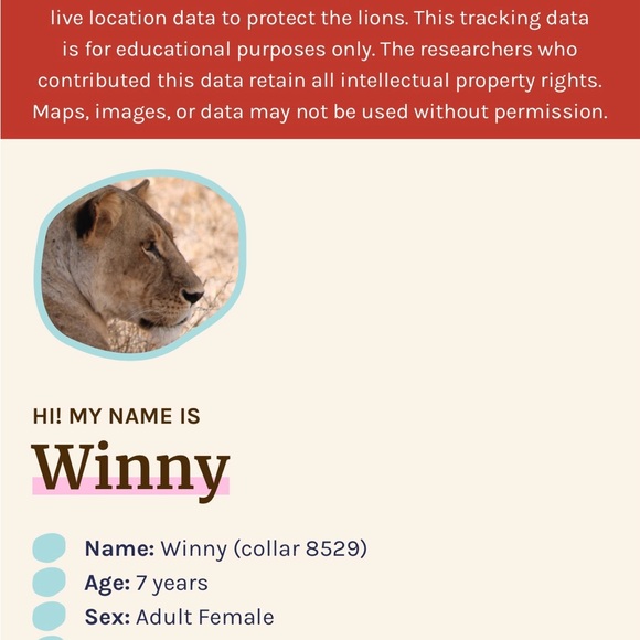 Conserve & Protect  Stone Bracelet with White Turtle Charm - Picture 5 of 9